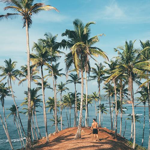 Jharkhali Eco Tourism Park