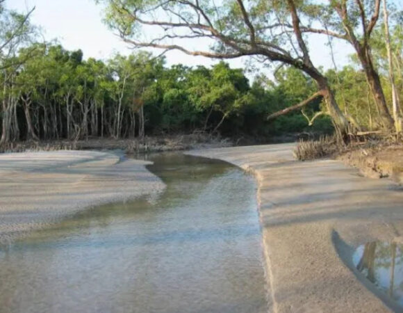 Sundarban
