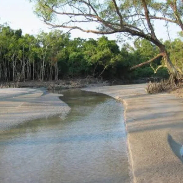 Sundarban