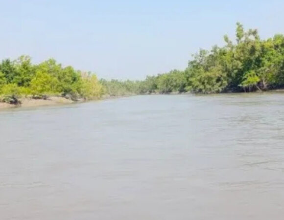 Sundarban