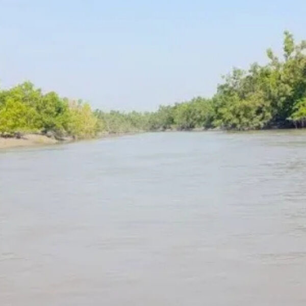 Sundarban